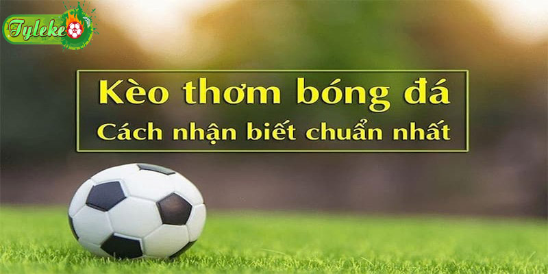 Phân tích kèo, dự đoán tỷ số, chọn cửa tối ưu