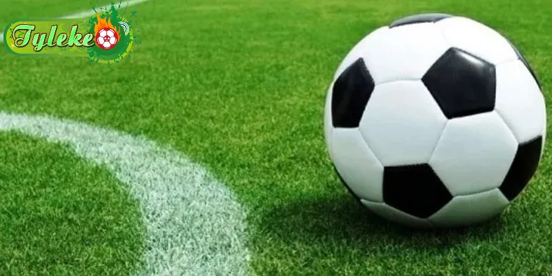 Cách đọc và phân tích kèo Sbobet hiệu quả nhất